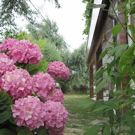 Uysallar Koy Evi Gokceada Exterior foto