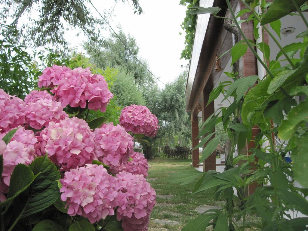Uysallar Koy Evi Gokceada Exterior foto